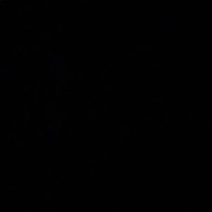 Meet your Posher, Stanly